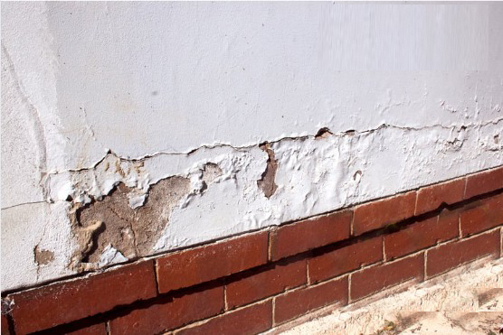 Rising-Damp-before